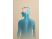 뇌와 몸은 하나다 — ‘Neuro-Body Connection’의 진짜 의미